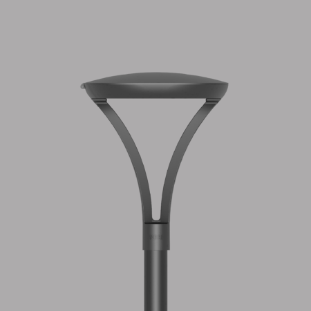 LIGHT 110 CSX - D